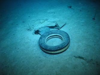 Rubber tyre - possibly from aircraft